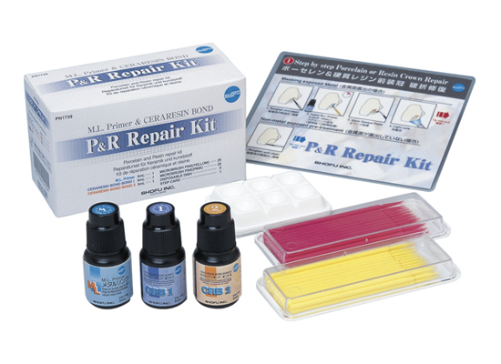 P&R Repair Kit