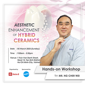 Aesthetic Enhancement of Hybrid Ceramics